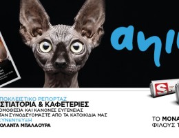 “ANIMALL”: Το μοναδικό περιοδικό για τους σκύλους και τις γάτες, σε μια πολυτελή έκδοση, αυτό το Σάββατο ΕΝΤΕΛΩΣ ΔΩΡΕΑΝ αποκλειστικά με τα Παραπολιτικά 10.05