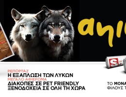 “ANIMALL”: Το μοναδικό περιοδικό για τους σκύλους και τις γάτες, σε μια πολυτελή έκδοση, αυτό το Σάββατο ΕΝΤΕΛΩΣ ΔΩΡΕΑΝ αποκλειστικά με τα Παραπολιτικά 1.11